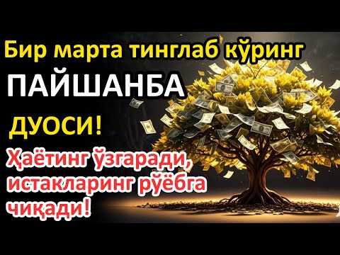 Видео: ПАЙШАНБА куни Пайғамбар Муҳаммад ﷺ дуоси, инша Аллоҳ, омонлик, бойлик ва муваффақият келтиради