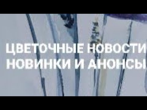 Видео: Цветочные Новинки в коллекции и Анонсы роликов 