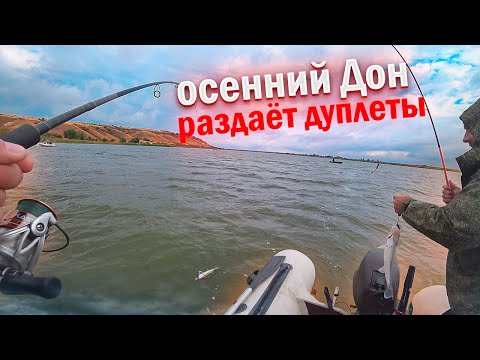 Видео: ВО ДАЁТ! КАЖДЫЙ ЗАБРОС! Рыбалка на Дону! Рыбалка на судака осенью!