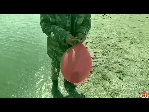 Видео: Ловить Рыбу Кутутм с Помоши Надувного Шара