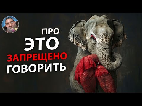 Видео: Слоник + Клюв ≠ Птичка