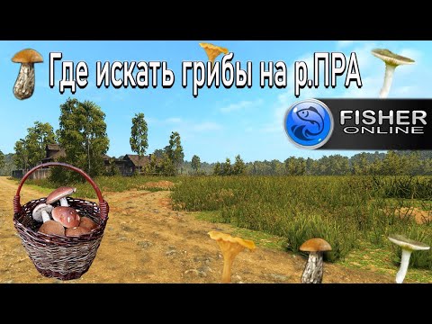 Видео: Fisher Online Где собирать грибы на р.ПРА Фишер онлайн #фишеронлайн