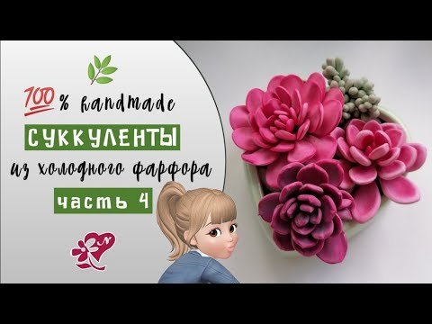 Видео: Суккуленты из холодного фарфора. Cold porcelain succulents.
