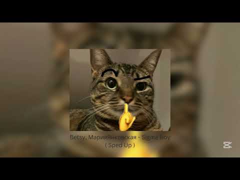 Видео: Betsy, МарияЯнковская - Sigma Boy ( Sped Up )