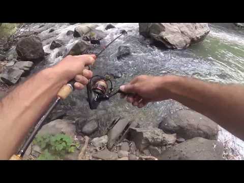 Видео: #2 Ловля Фореля на Спиннинг в Армении / Lure Fishing For Trout in Armenia