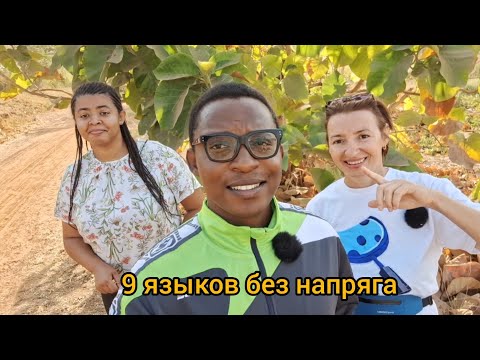 Видео: #98 Зять-полиглот - норма для Африки.