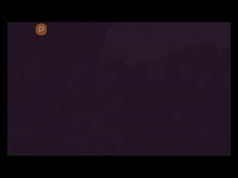 Видео: 81сезон_1день