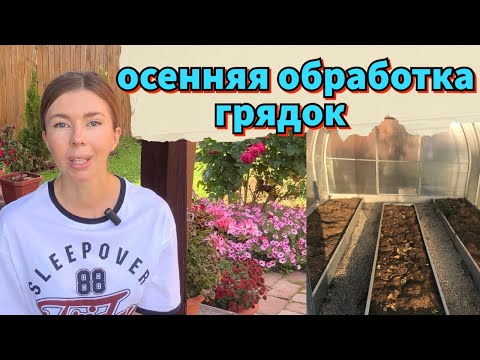 Видео: ЧЕМ ОБРАБОТАТЬ ГРЯДКИ ОСЕНЬЮ. ЧТО ВНЕСТИ В ПОЧВУ ПОСЛЕ УБОРКИ УРОЖАЯ