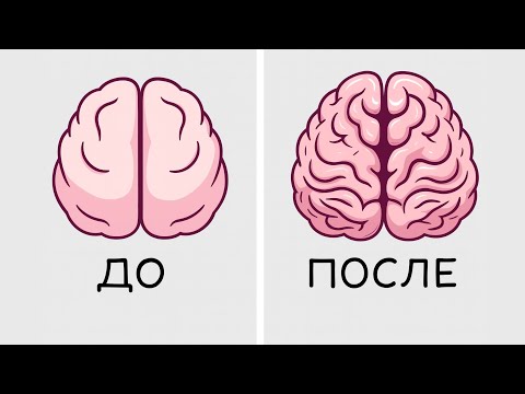 Видео: 7 простых упражнений для мозга, чтобы развить память и концентрацию