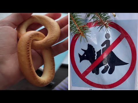 Видео: Фото подписчиков Фактории (103 часть)