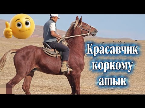 Видео: ото сындуу келишкен чон красавчик
