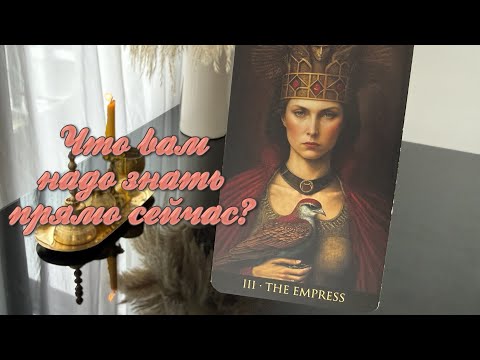 Видео: Что вам надо знать прямо сейчас?