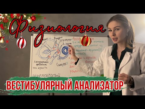 Видео: Физиология|👂🏻Вестибулярный анализатор|Полукружные каналы