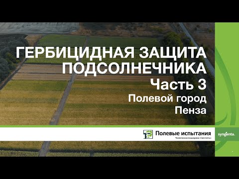 Видео: Гербицидная защита подсолнечника, ч.3, Полевой город Пенза