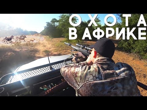 Видео: Охота в Африке. ЮАР и Зимбабве. Африканское сафари. Выставка HuntEx 2018.