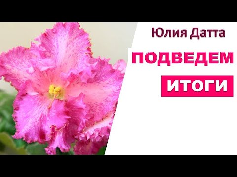 Видео: Пандемия и Бизнес на фиалках. Стоило ли начинать? Результаты за год.  Личный опыт! Юлия Датта