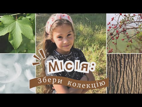 Видео: Збери колекцію! Веселий челендж для дітей на вулиці