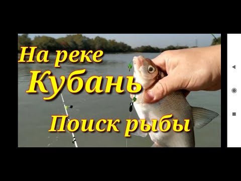 Видео: Рыбалка на реке Кубань.В поисках леща