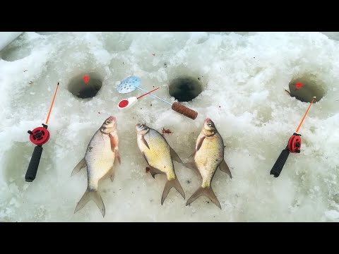 Видео: ЗИМНЯЯ РЫБАЛКА🎣 на ЛЕЩА 2022 р.Гжать (Ярыгино).