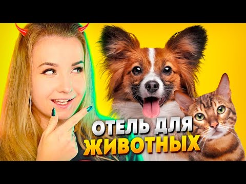 Видео: СПАСАЮ ОТЕЛЬ ДЛЯ ЖИВОТНЫХ ОТ БАНКРОТСТВА! // Pets Hotel