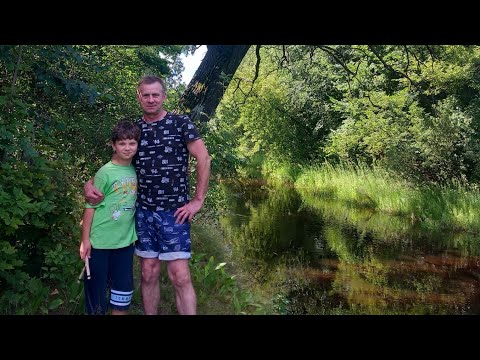 Видео: Как живем в Беларуси.Деревенские заботы.Что растет в огороде.Рай для детей