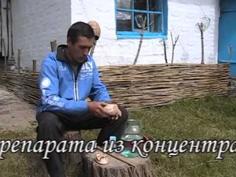 Видео: Тамир. Приготовление препарата