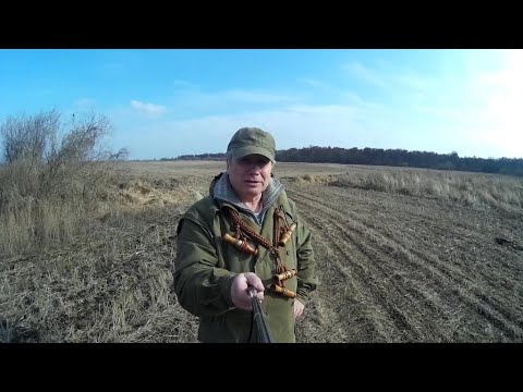 Видео: С манками на гусей, весна 2025 г.