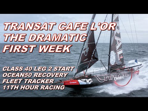 Видео: Transat Cafe L'Or — драматическая первая неделя