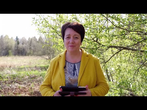 Видео: 1716. Хлеб на каждый день. День Пятидесятницы.