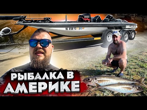 Видео: Белорусский витязь Вытянул директора на рыбалку Сазан @3bro