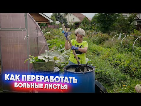 Видео: Как переработать больные листья