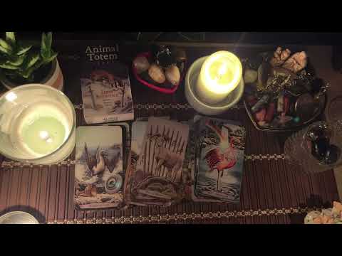 Видео: Кто на пороге, с чем идет❓