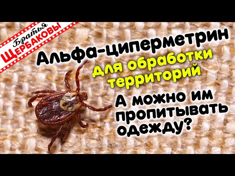 Видео: Альфа-циперметрин для обработки территорий. Стоит ли пропитывать одежду? Честный тест! (4K)