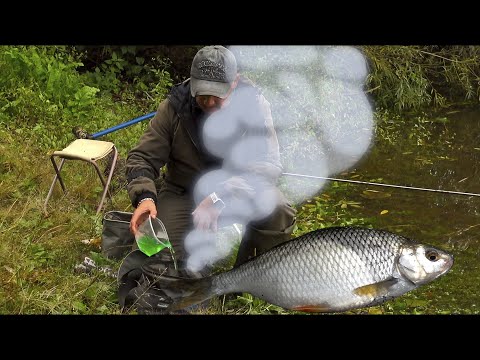 Видео: Рыбалка в сентябре на фидер⎮Тактика фидерной ловли⎮VLOG 033