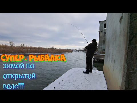 Видео: Река Маныч рыбалка зимой по открытой воде ловится крупная плотва!!!