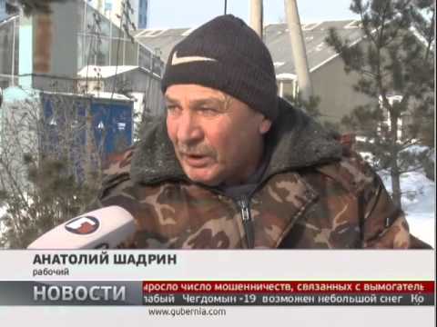 Видео: Доски из тополя. Новости. GuberniaTV