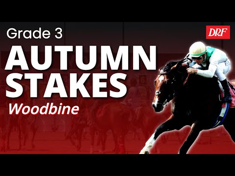 Видео: Осенние соревнования для 3-го класса в Вудбайне | 8 ноября 2025 г.