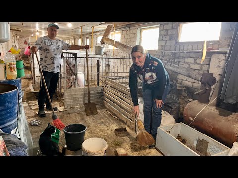 Видео: И у нас такое бывает. Решили их убирать. 