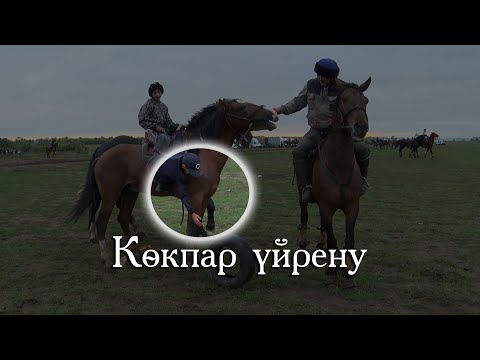 Видео: Жас көкпаршы. Көкпар үйрену.