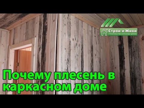 Видео: Дом покрытый зеленью, абсолютно весь. Причины. Как не допустить? Не "Строй и Живи"