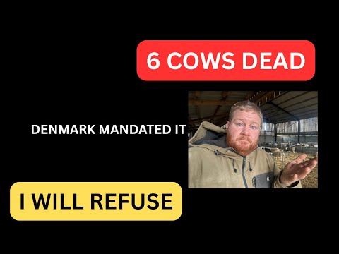 Видео: СРОЧНО: Дания заставила фермеров использовать препарат «Бовэр» — 6 коров погибло (я откажусь его ...
