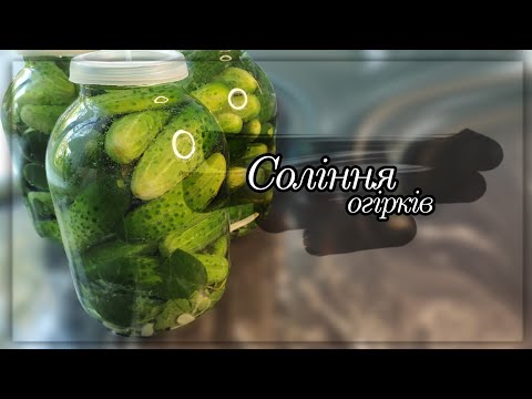 Видео: Соління огірків. Смачні та хрусткі огірочки.Pickling cucumbers. Tasty and crispy cucumbers.