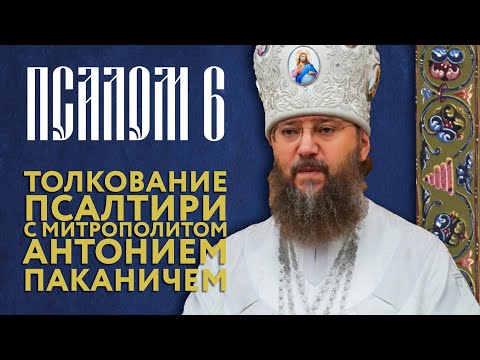 Видео: Толкование Псалтири. Псалом 6.