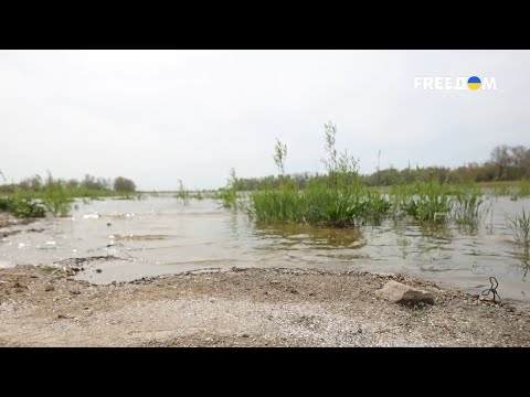 Видео: ВЕЛИКИЙ ЛУГ возрождается! Что происходит на месте бывшего КАХОВСКОГО водохранилища?