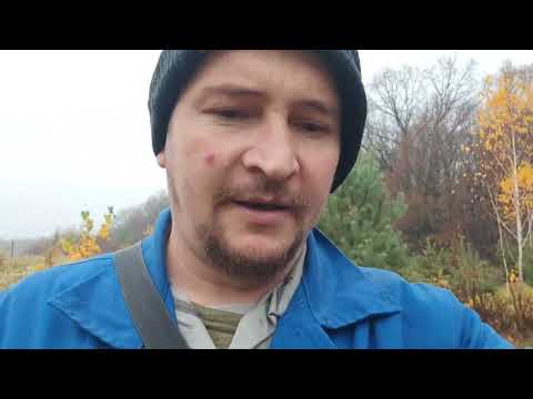 Видео: Зимівля бджіл стартувала. Поки що без втрат. Яка буде ціна на бджолопакети 2026.