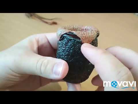 Видео: Обзор фигурки ЧУЖОГО/ALIEN с AliExpress/