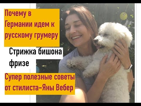 Видео: проблемы с породой Бишон Фризе в Германии, важные моменты от Яны Вебер