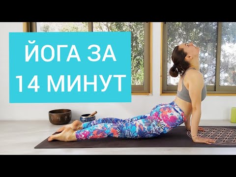 Видео: Утренняя Йога за 14 минут | Женская Йога Дома | Йога для Всех | Йога Для Здоровья | Йога chilelavida