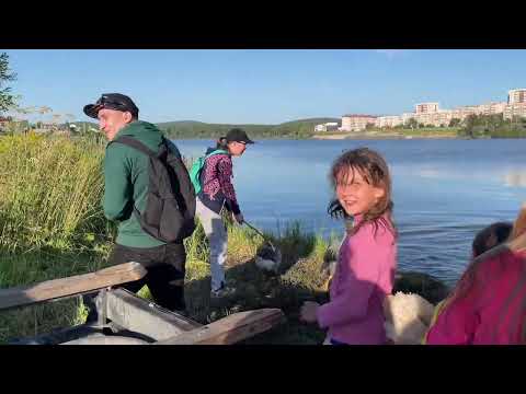 Видео: Всего лишь проверили...