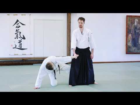 Видео: Айкидо. Как делать: санке из екомэн учи.